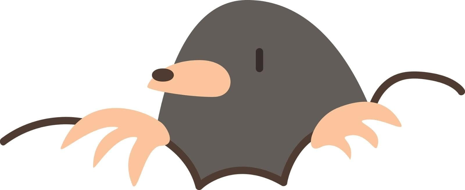 Zitten ook in uw jaarplan mollen?